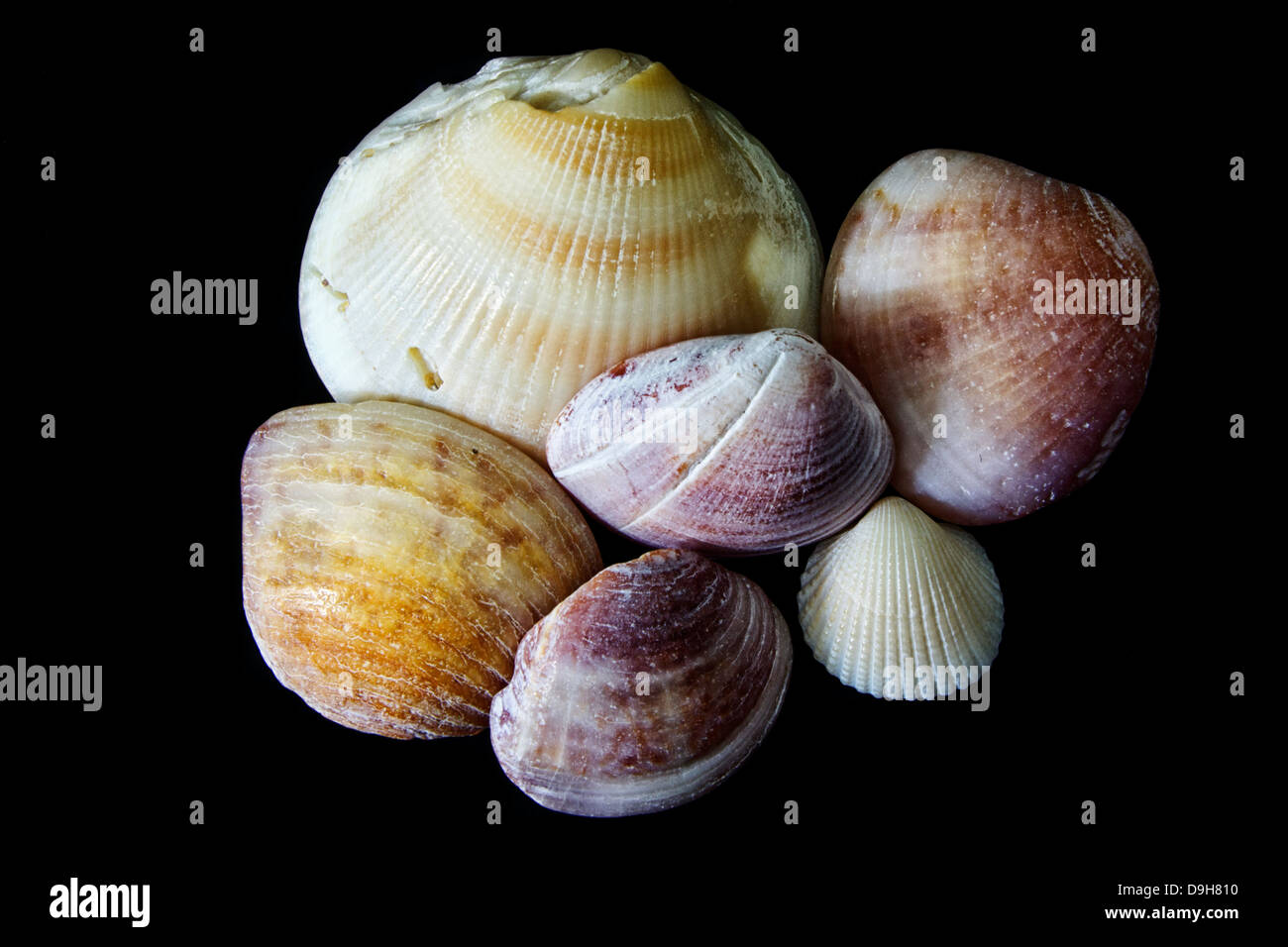 Brazilian southwest hi-res stock photography and images - Alamy