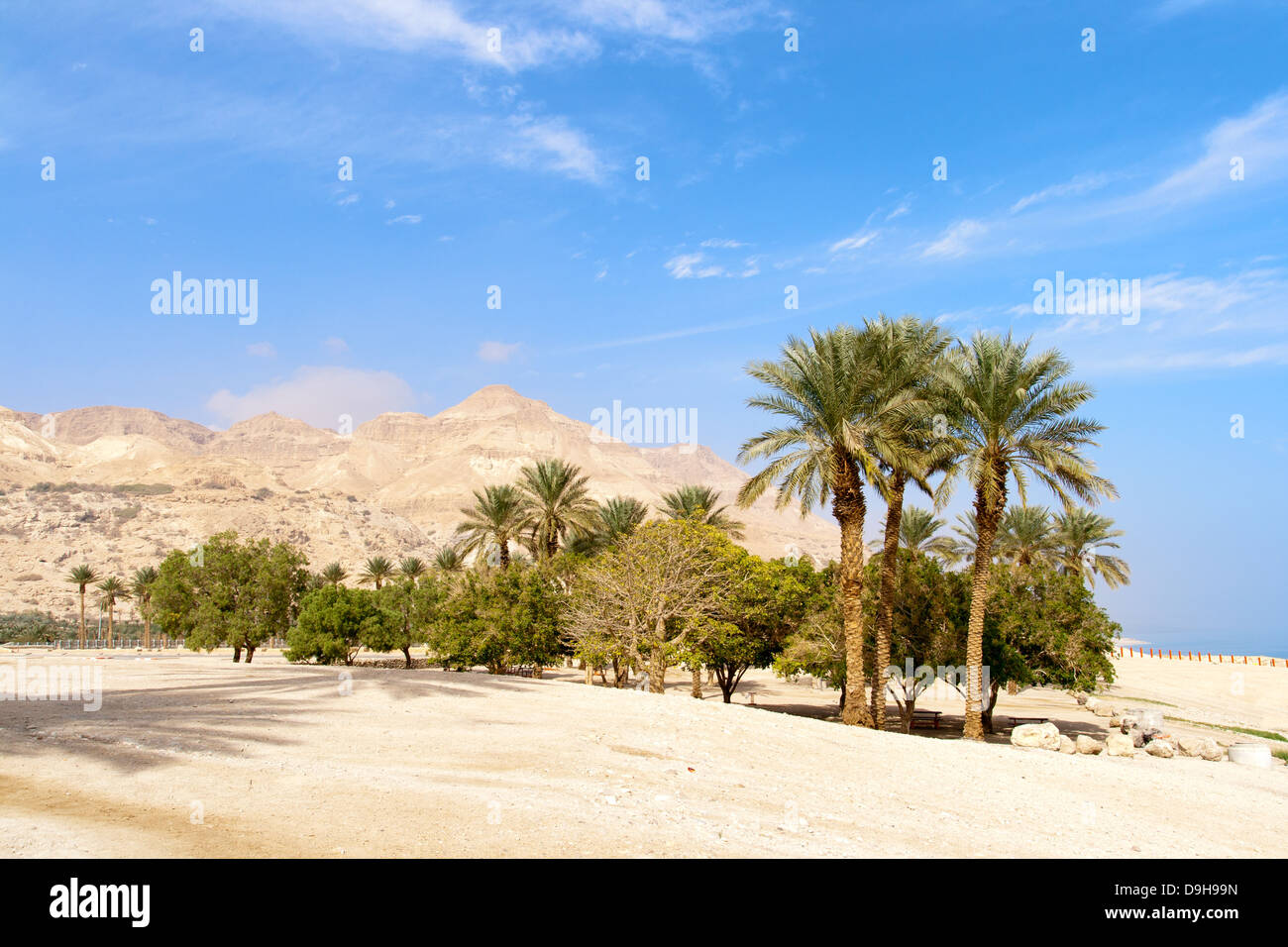 Ein Gedi oasis at the Dead Sea. Israel Stock Photo