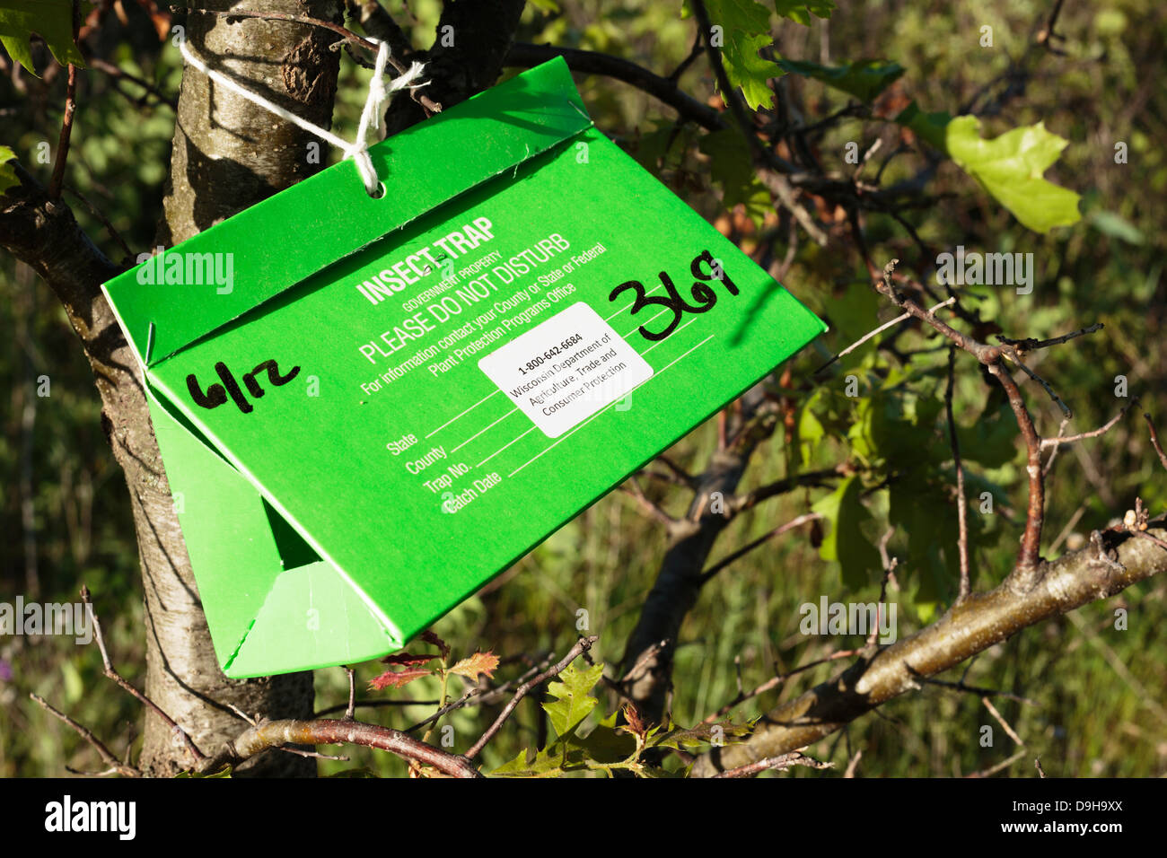 Insect trap box attached to a tree in the Crex Meadows Wildlife Area in western Wisconsin, USA. Stock Photo