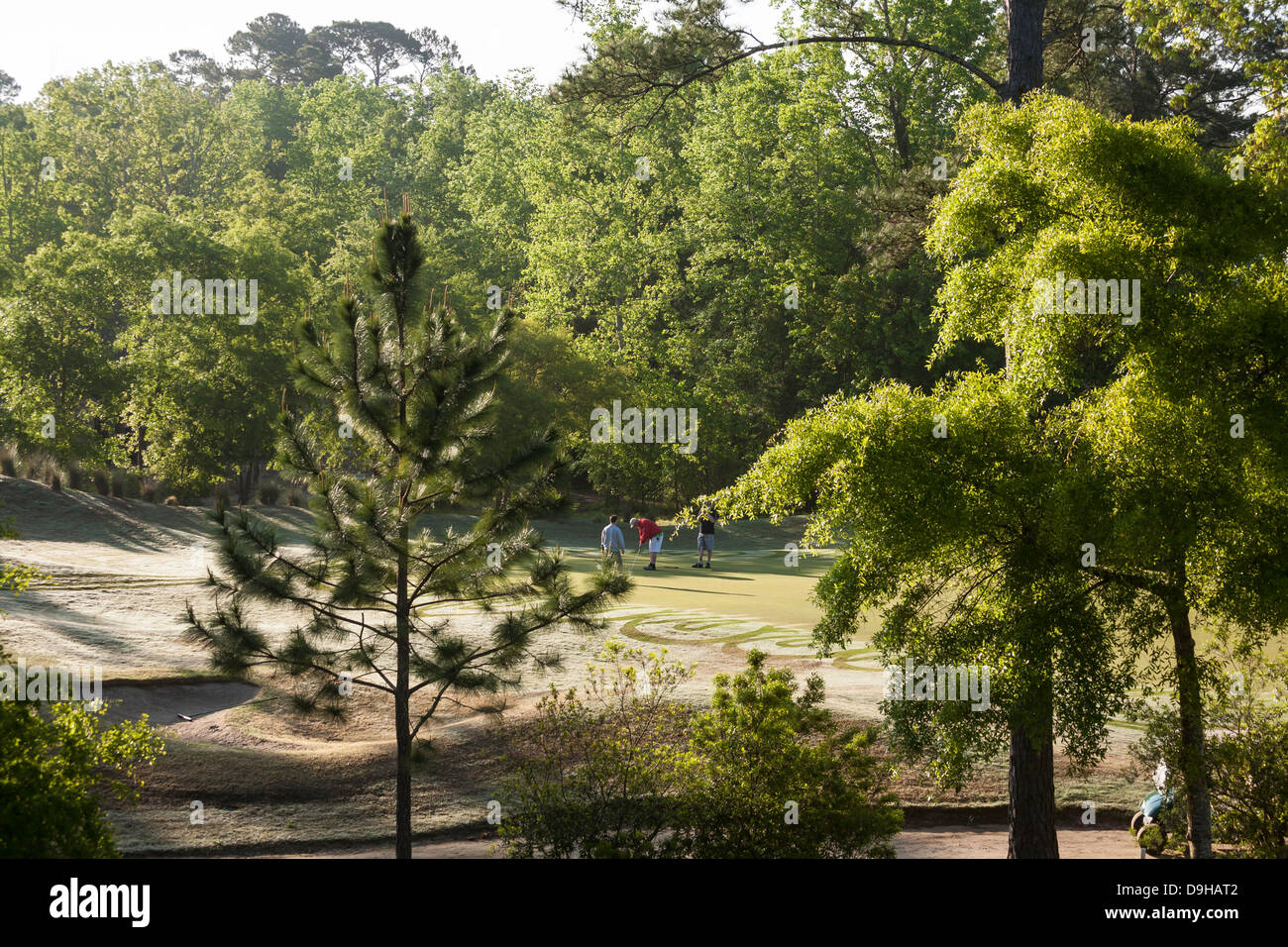 Golfers On Golf Course, USA Stock Photo Alamy