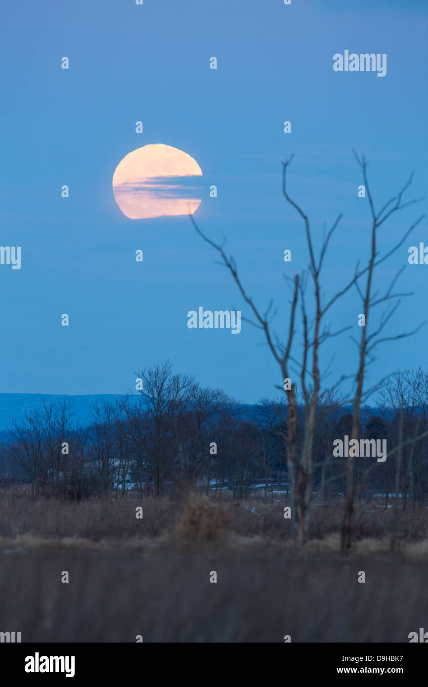 Full Moon rising - Supermoon - diffraction - changing shape Stock Photo ...
