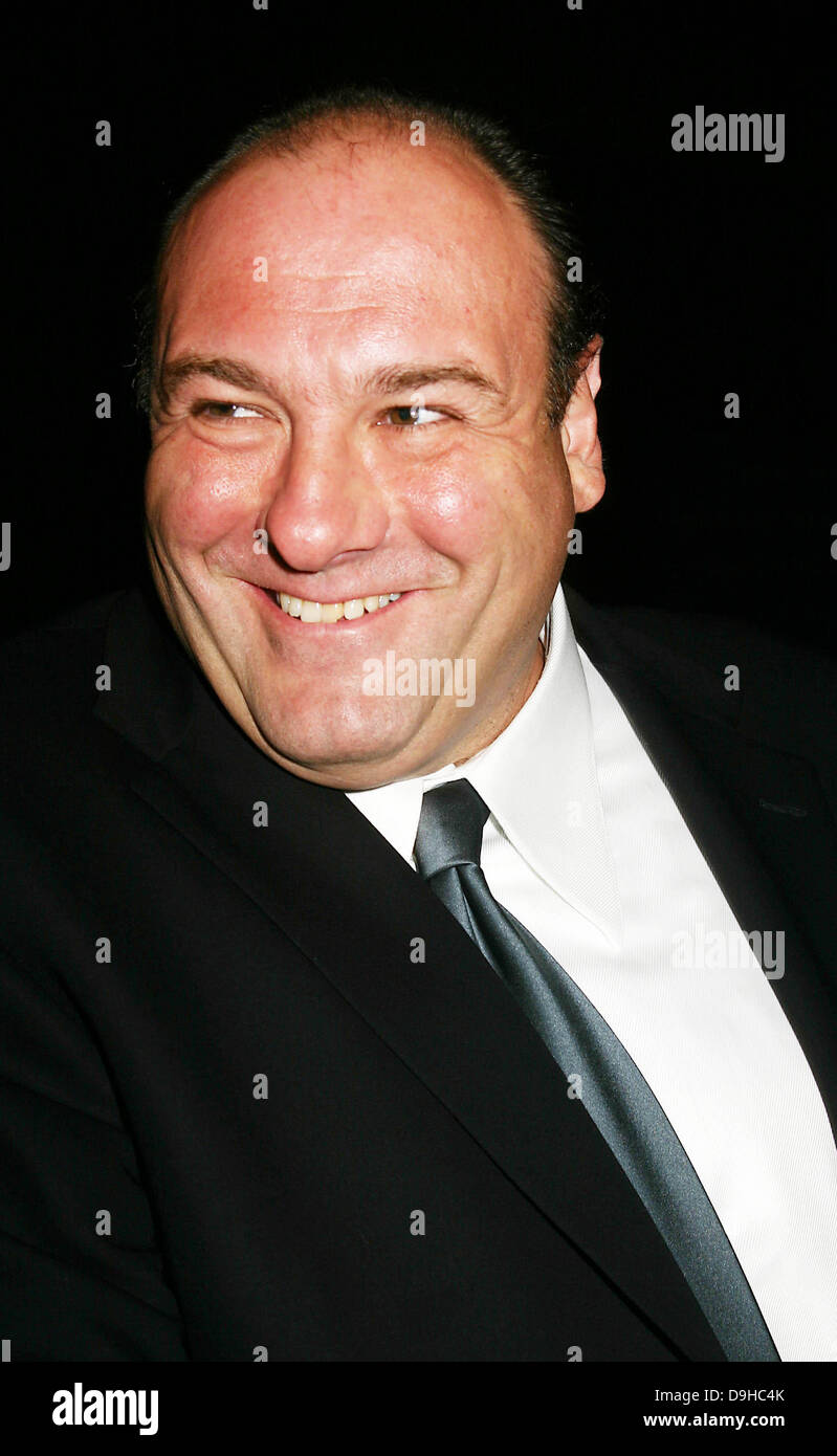 June 19, 2013 James Gandolfini, star of HBO's ''The Sopranos,'' has