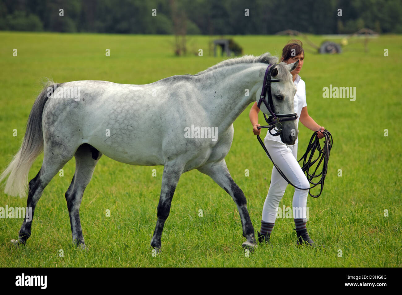 Woman in Dressage outfit running with grey horse Stock Photo