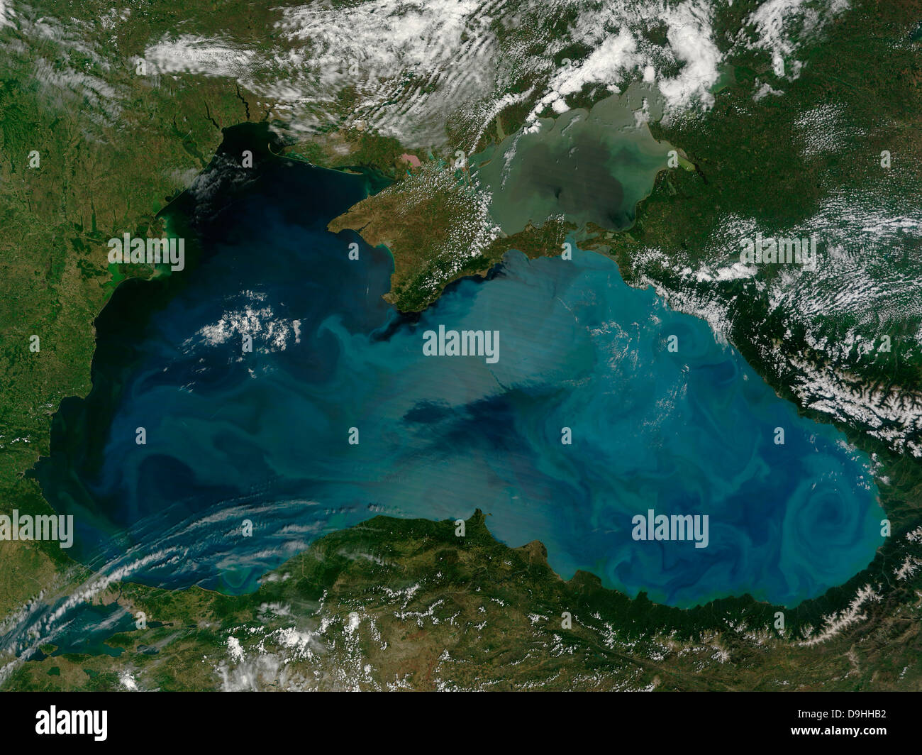 Phytoplankton bloom in the Black Sea Stock Photo