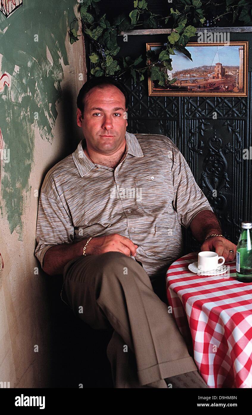 June 19, 2013 - James Gandolfini, star of HBO's ''The Sopranos,'' has died of a possible heart attack in Rome. He was 51. Gandolfino was known for his role as Tony Soprano in the HBO series ''The Sopranos.'' PICTURED: Nov. 23, 1998 - JAMES GANDOLFINI in The Sopranos. (Credit Image: © Globe Photos/ZUMAPRESS.com) Stock Photo