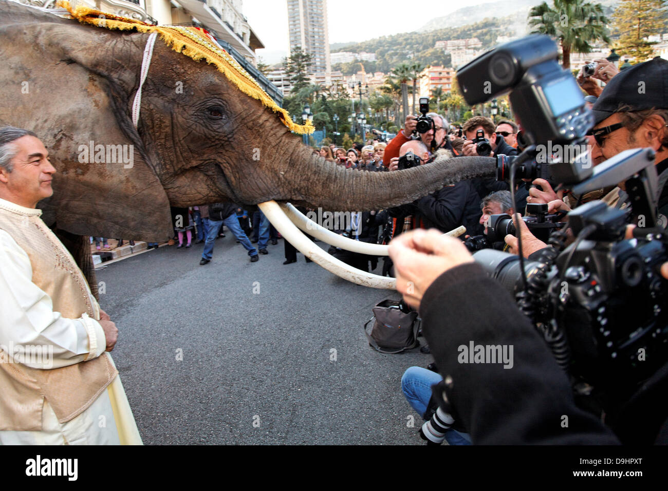 Atmosphere - Elephant Indian bridegroom Gaurav Assomull and his bride Kajal Fabiani wedding celebrations in Monaco March 21, 2011. The festivities are part of a weekend-long ceremony celebrating the matrimony of Assomull, chief executive of Marigold Fine Art Gallery, and Fabiani, socialite and owner of the Villa 39 restaurant in Mumbai. Monaco - 21.03.11 Stock Photo