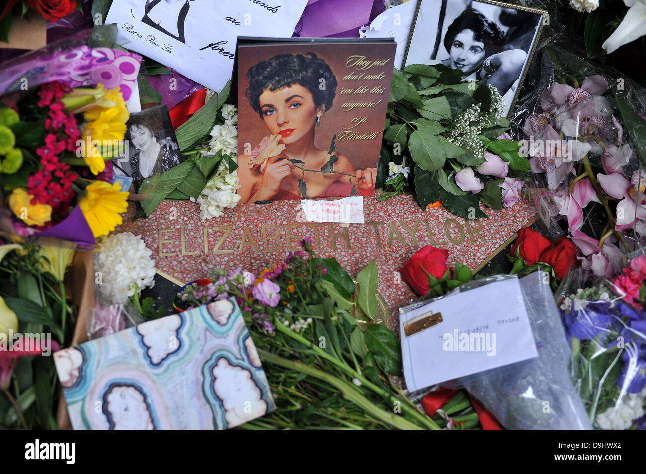 Elizabeth Taylor's Hollywood Walk of Fame star is adorned with flowers and pictorial tributes to mark her passing at age 79 Los Angeles, California - 23.03.11 Stock Photo