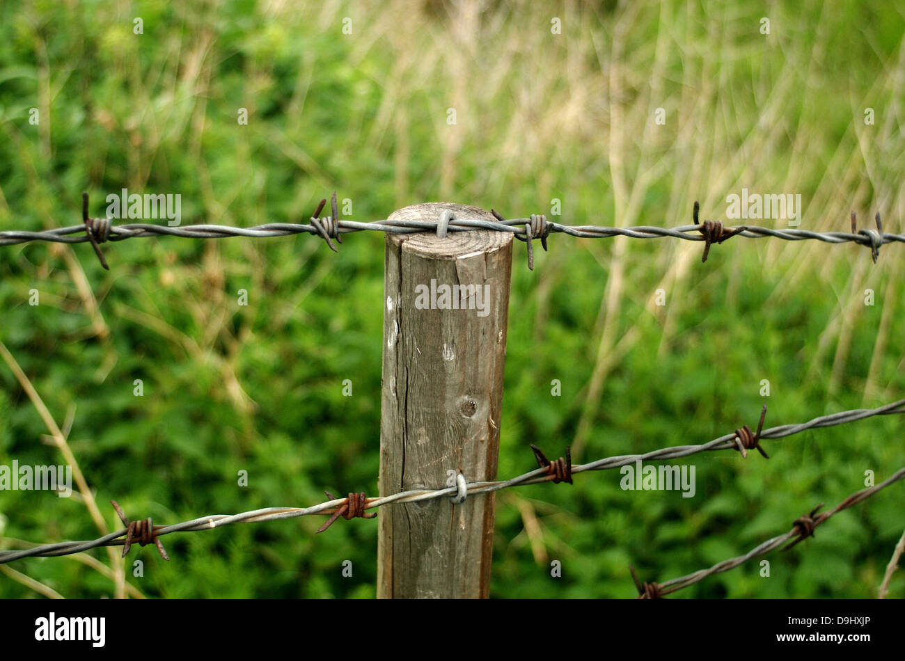 barbed wire fence around green field Stock Photo Alamy