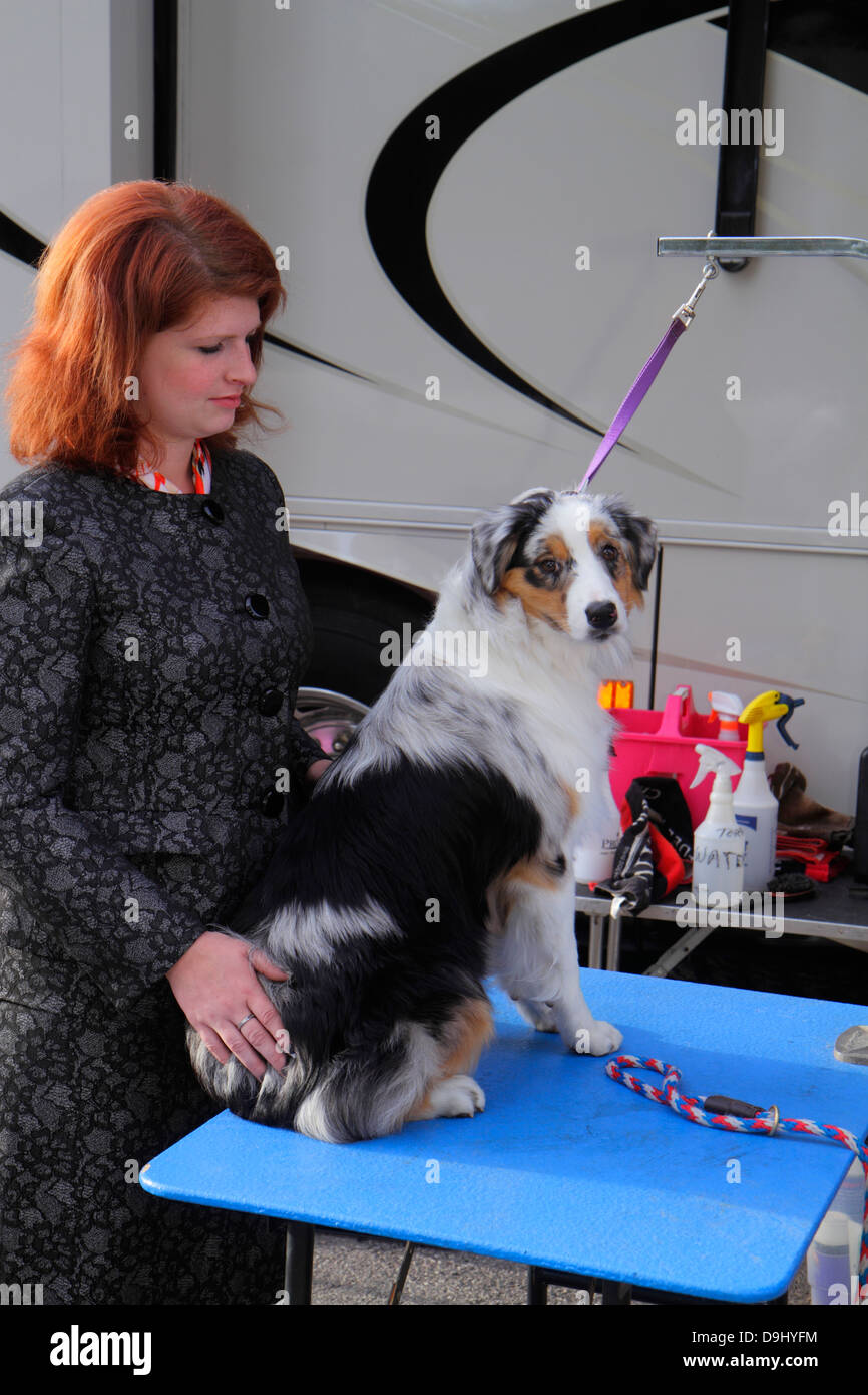 best in show grooming las vegas