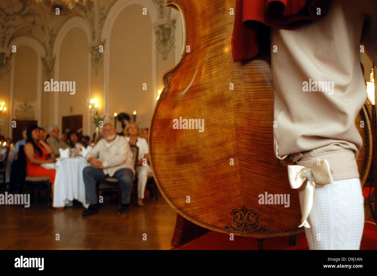 People, Music, Concert, Mozart, Dinner Show, Restaurant, Peterskeller