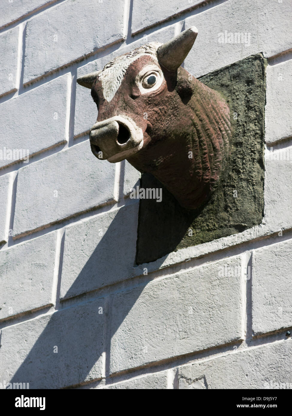 Bulls head on wall of building in Chapel en le frith Derbyshire England Stock Photo