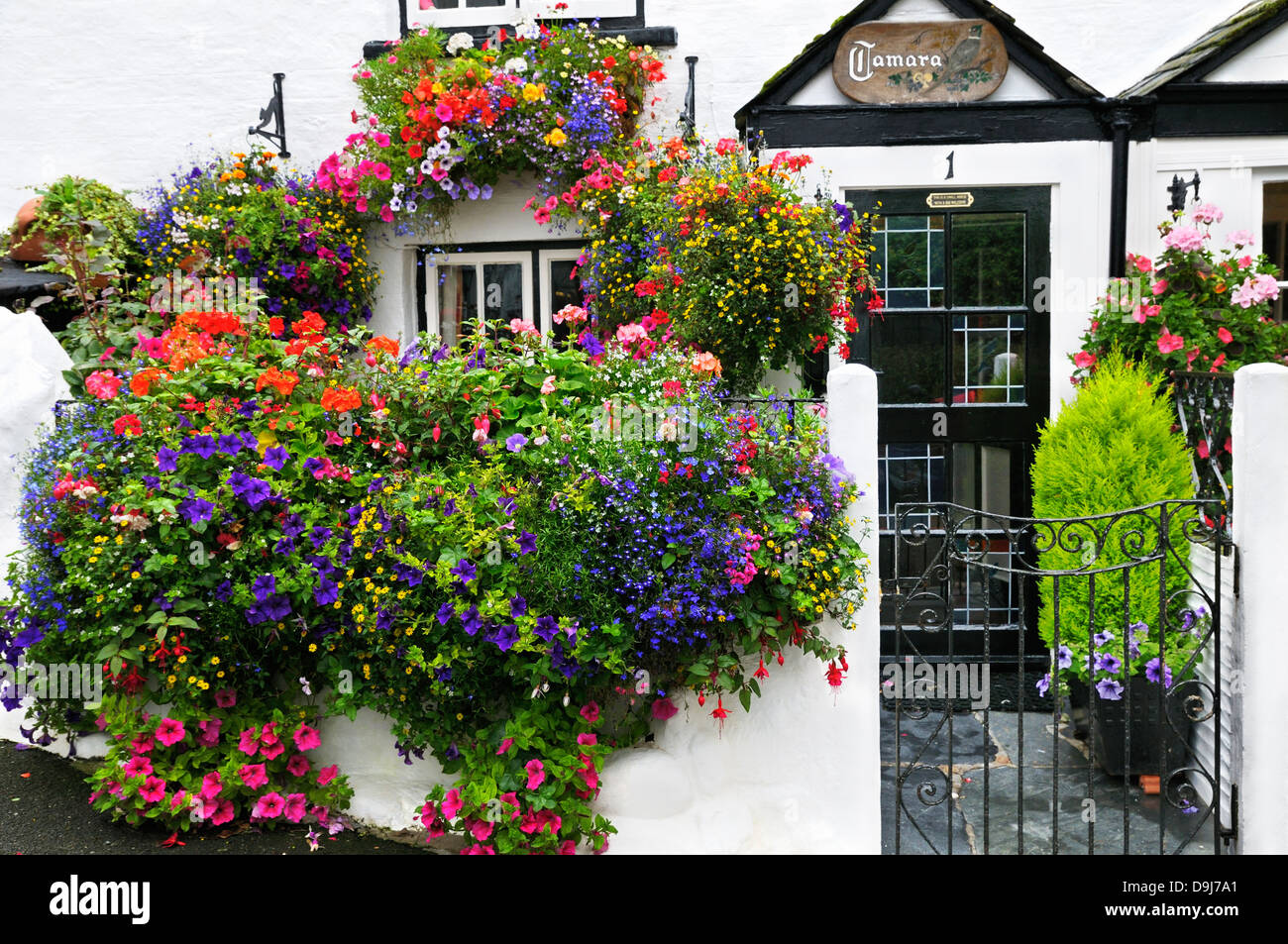 A pretty white-washed cottage adorned with summery flowers, Cornwall, UK Stock Photo