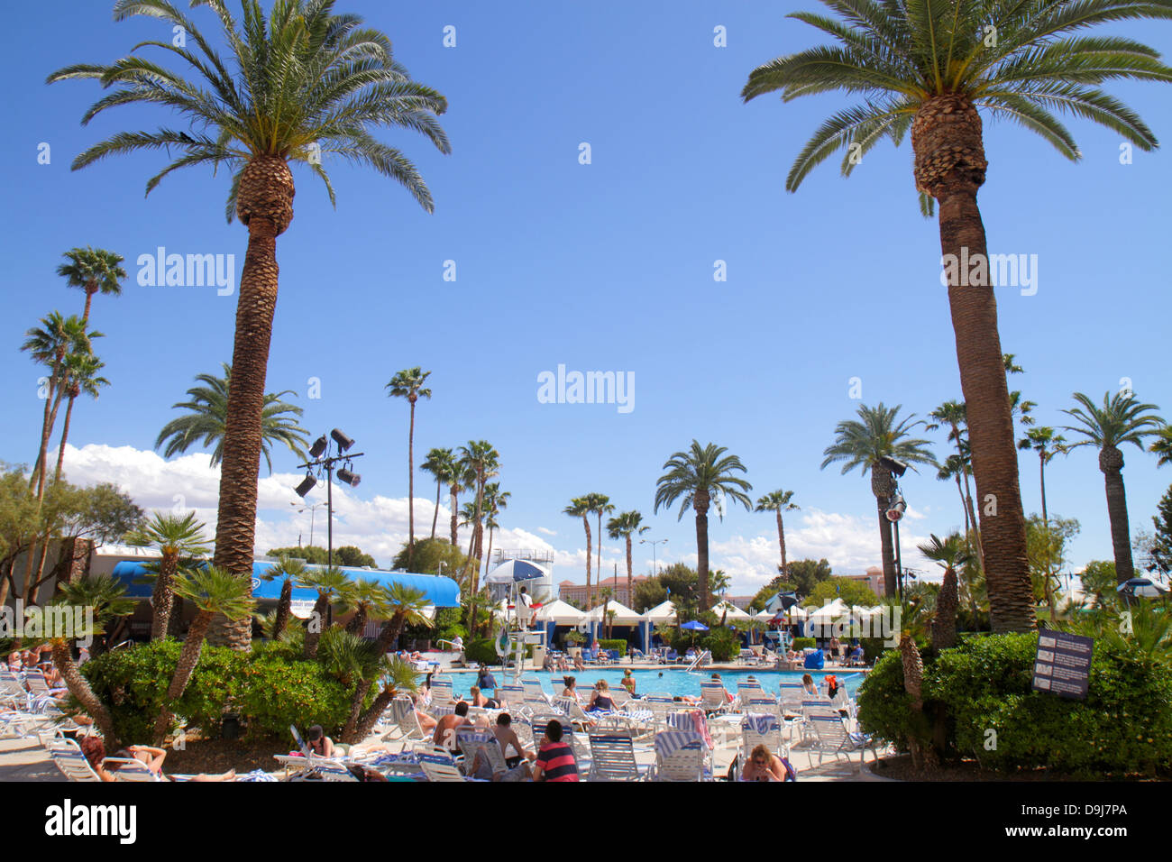 Las Vegas Nevada,The Strip,South Las Vegas Boulevard,Bally's Las Vegas Hotel  & Casino,swimming pool area,royal palms,NV130331001 Stock Photo - Alamy