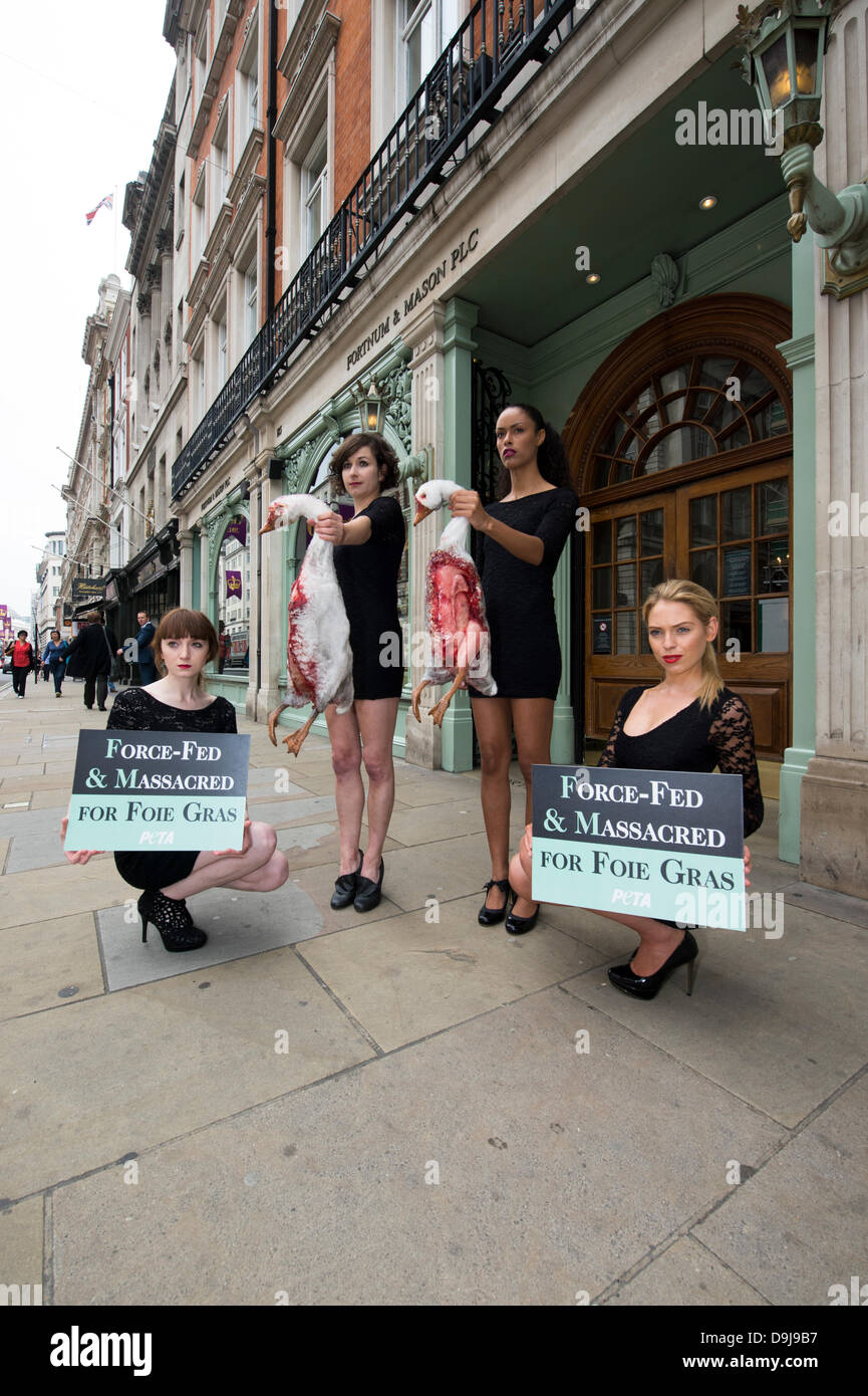 London, UK. 20th June 2013. 'Holding The Corpses'. PETA supporters gather outside Fortnum and Mason in London, holding models of dead geese to expose what they claim is the cruelty of Foie Gras. PETA claims that an undercover film it recently released exposed the abuse of animals at farms that supply Fortnum and Mason. PETA state that customers have the right to know about the cruelty that goes into every tin of Foie Gras. Production of Foie Gras is banned in the UK and 16 other counties. Credit:  Allsorts Stock Photo/Alamy Live News Stock Photo