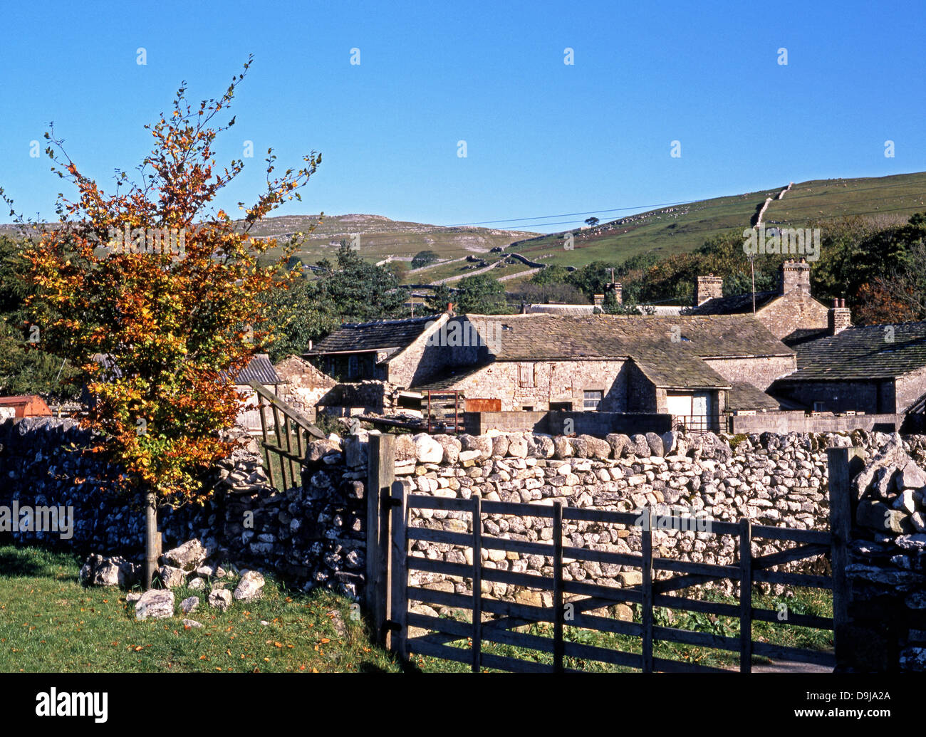 Farm buildings, Malham, Yorkshire Dales, North Yorkshire, England, UK, Great Britain, Western Europe. Stock Photo