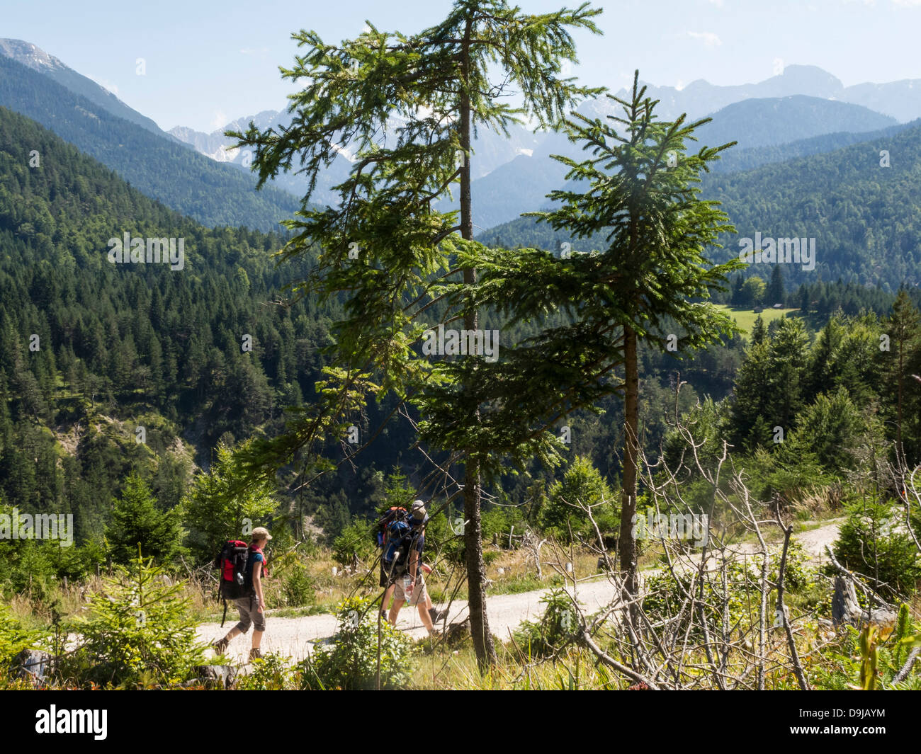Group hikers hike up mountain hi-res stock photography and images - Alamy