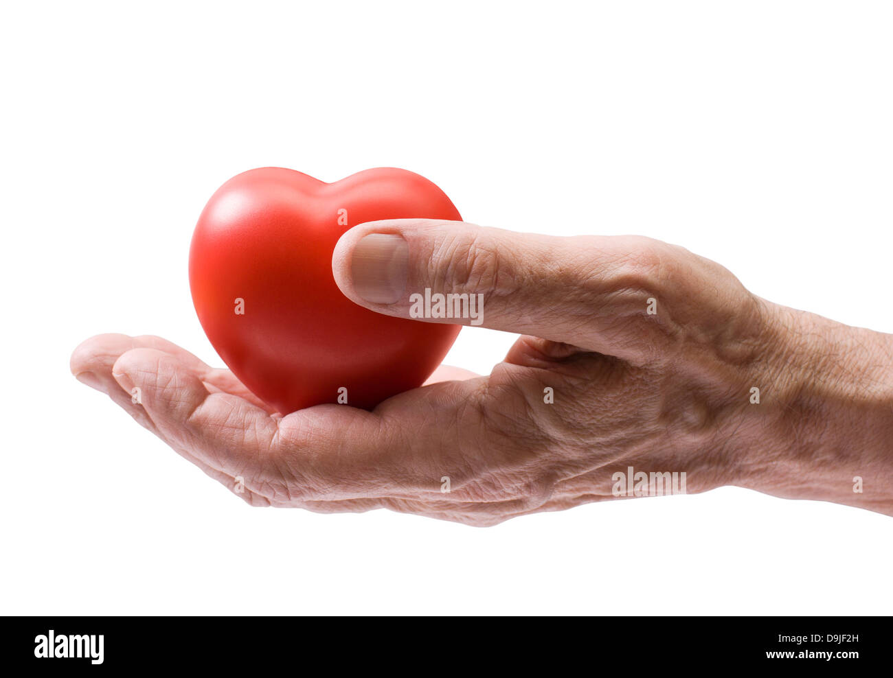 Old hand with red heart. Clipping path included. Stock Photo