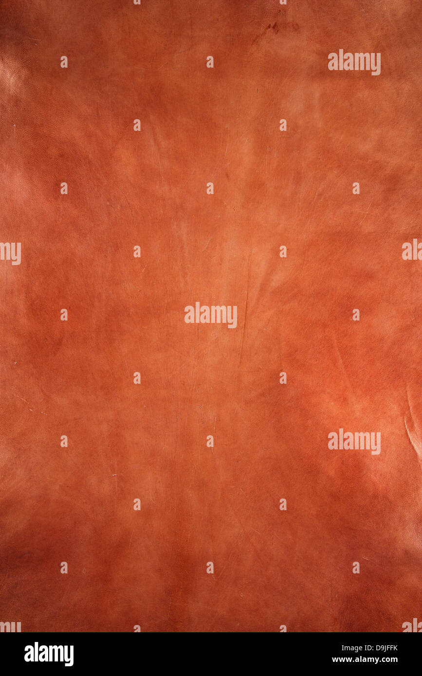 rawhide leather background stock photo image Stock Photo Alamy