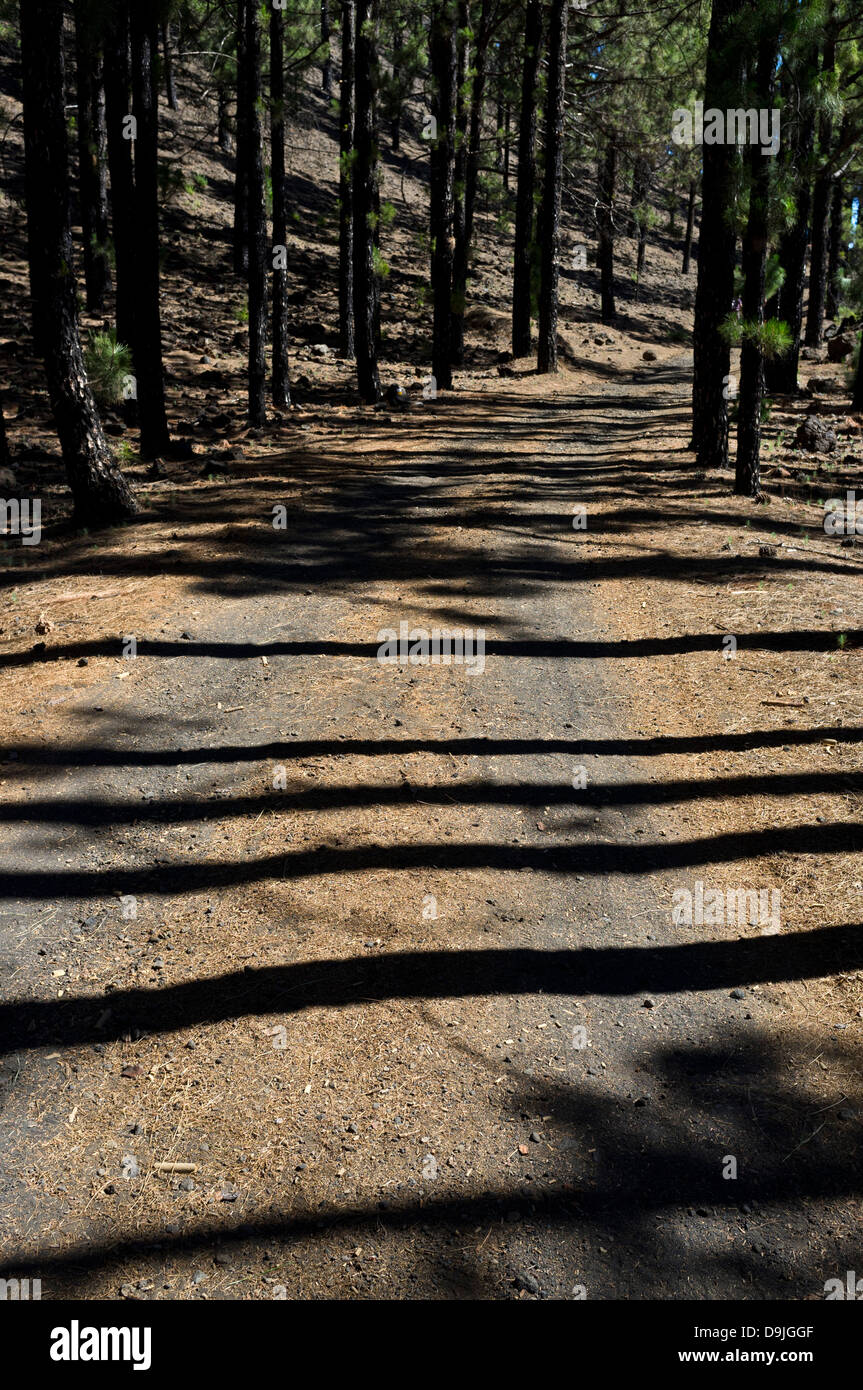 Menacing shadow hires stock photography and images Alamy