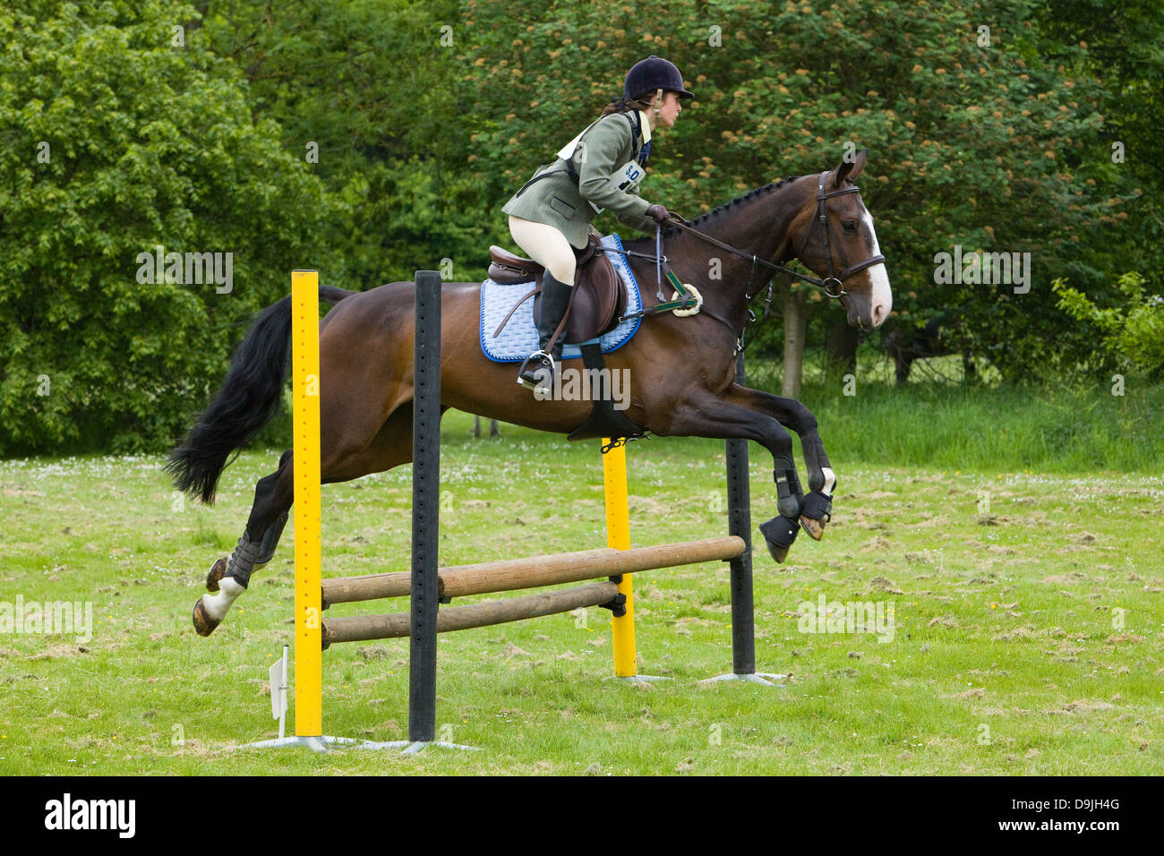 A competitor taking part in a One Day Event. The event is made up of Dressage, Show Jumping and Cross Country. Stock Photo