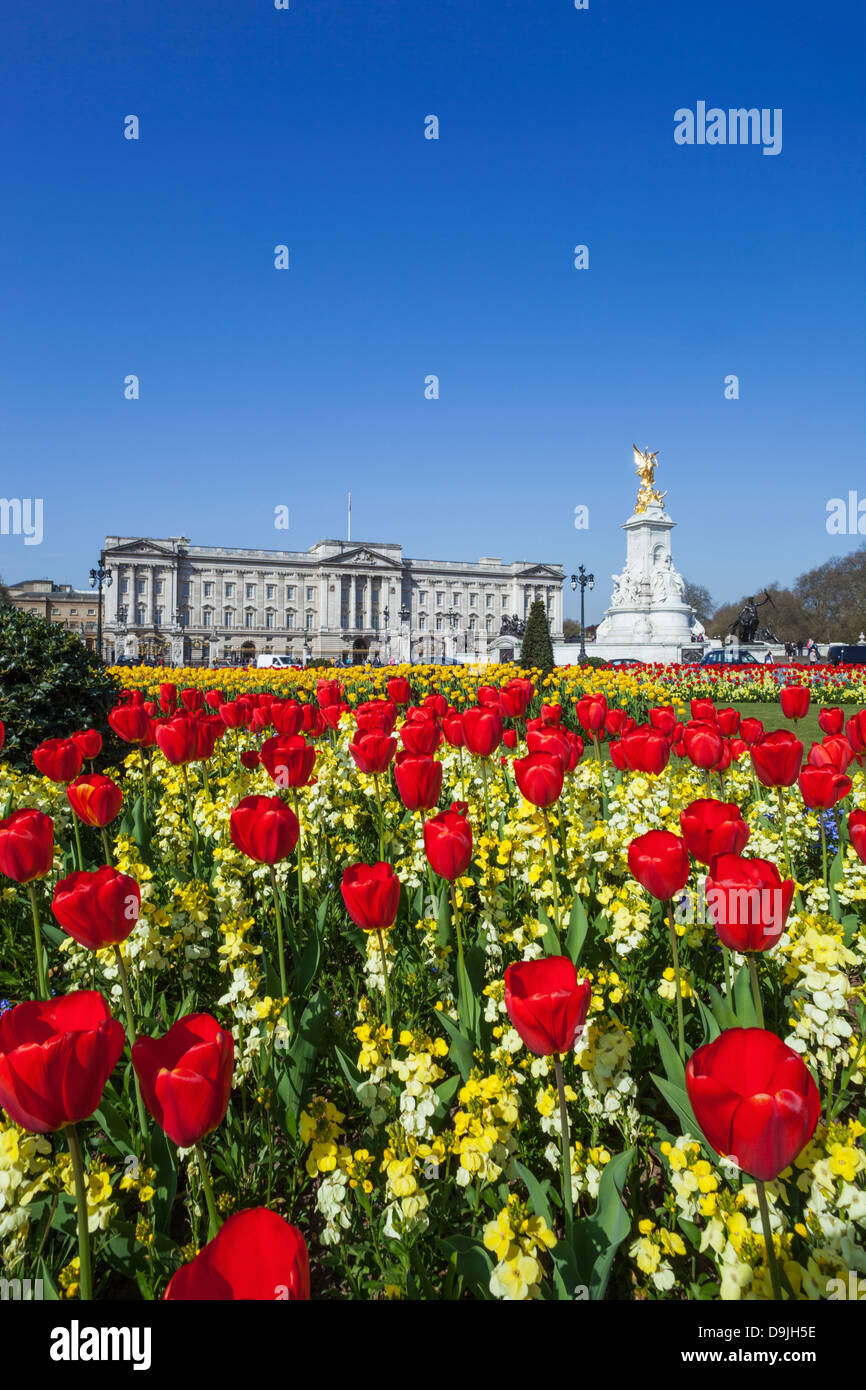 England, London, Buckingham Palace and Tulips Stock Photo