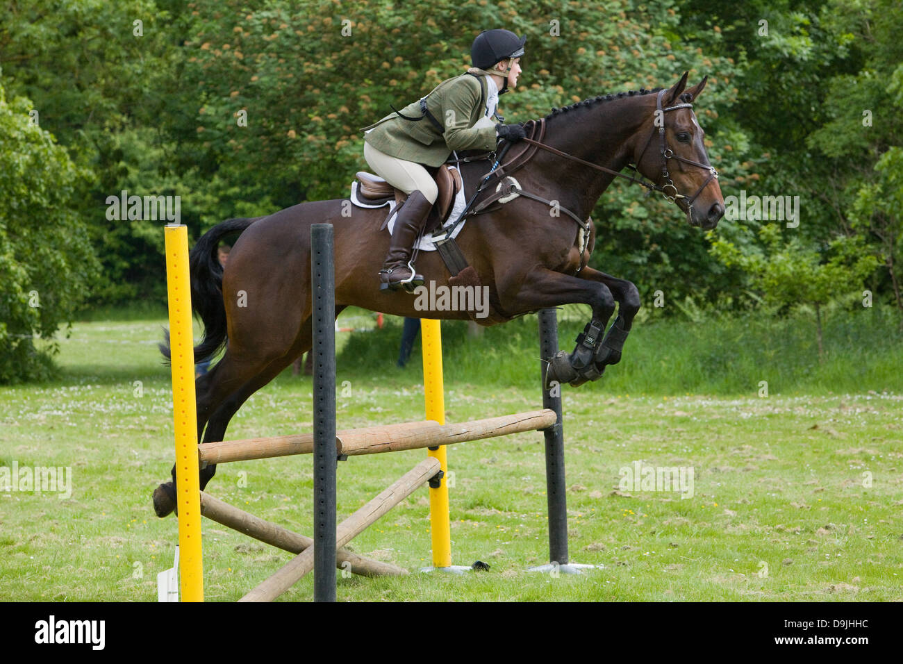 A competitor taking part in a One Day Event. The event is made up of Dressage, Show Jumping and Cross Country. Stock Photo
