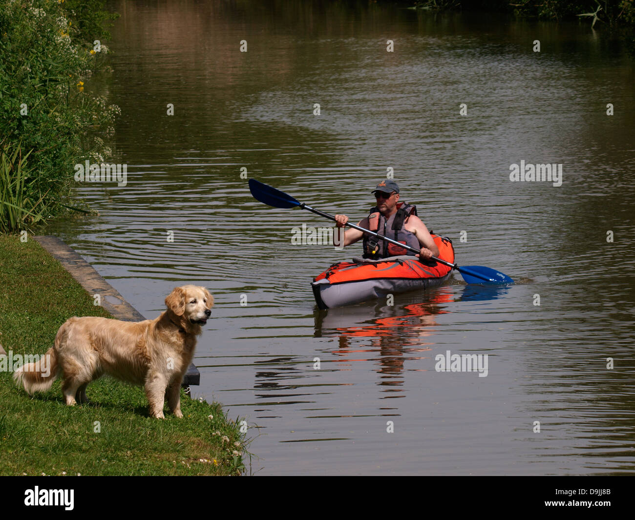 Dog kayak hi-res stock photography and images - Page 2 - Alamy