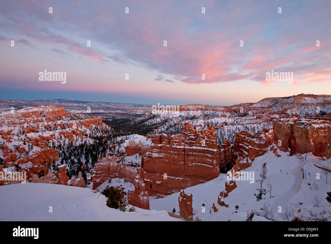 Hoodoo rock formations and snow at sunset, Bryce Amphitheater, Bryce