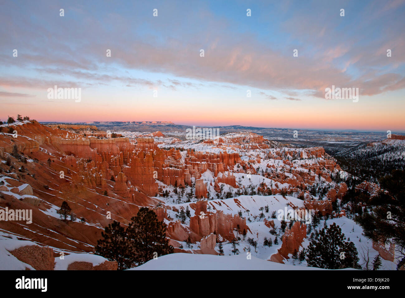 Hoodoo rock formations and snow at sunset, Bryce Amphitheater, Bryce