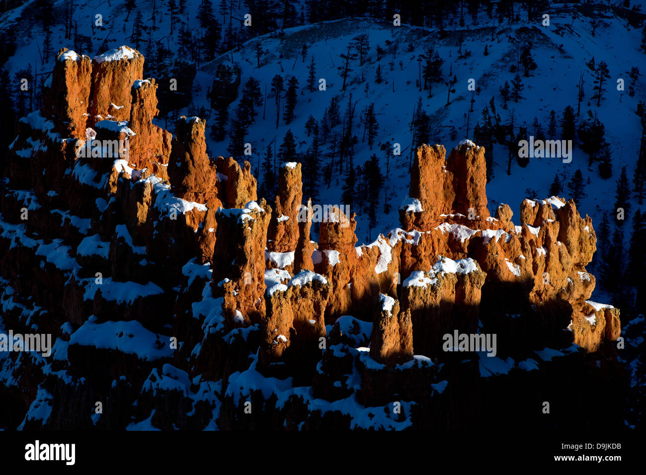 Hoodoo rock formations and snow at sunset, Bryce Amphitheater, Bryce Canyon National Park, Utah, United States of America Stock Photo