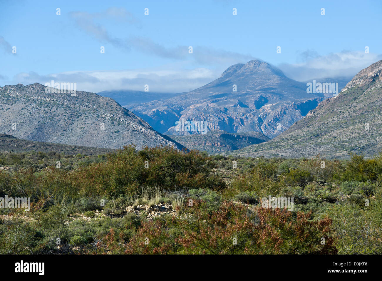 Karoo vegetation, mountains and house, Prince Albert, Western Cape, South Africa Stock Photo