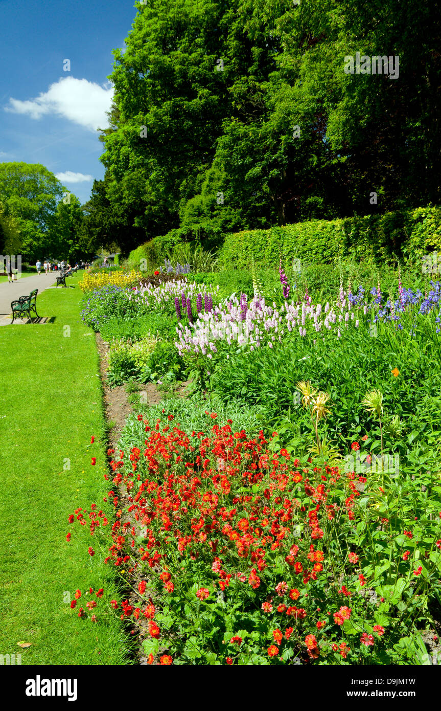 Herbaceous Border, Bute Park, Cardiff, Wales, UK. Stock Photo