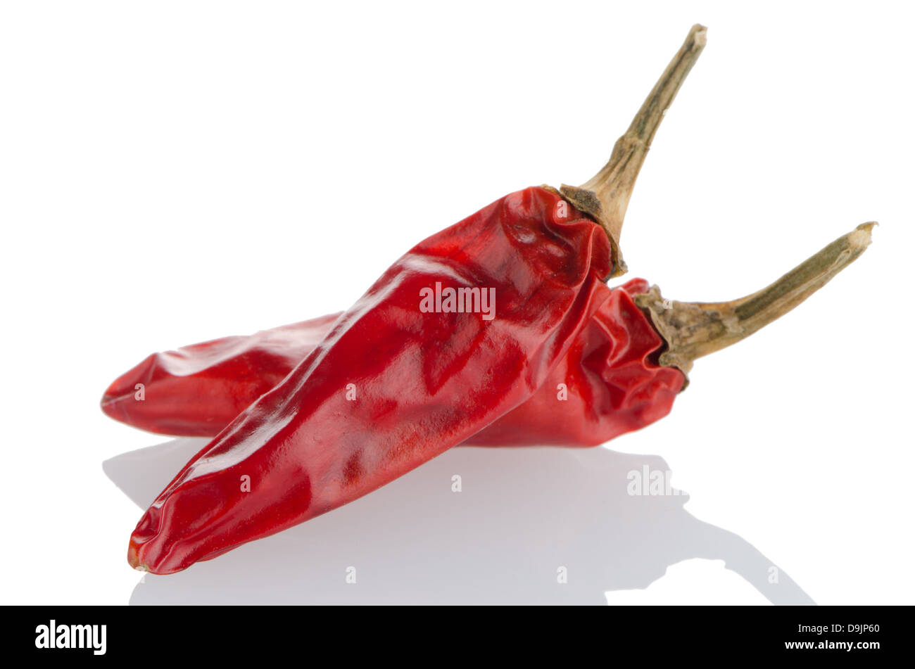 Two red hot chili pepper on a white background Stock Photo