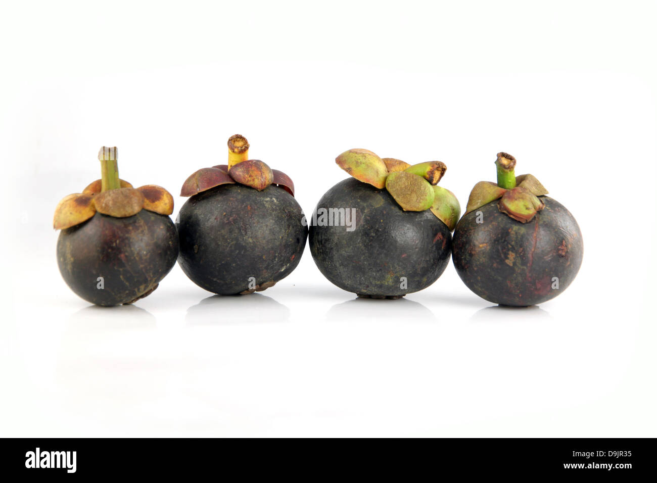 The Mangosteen fruit is flavor sweet and domestic fruit in Thailand. Stock Photo