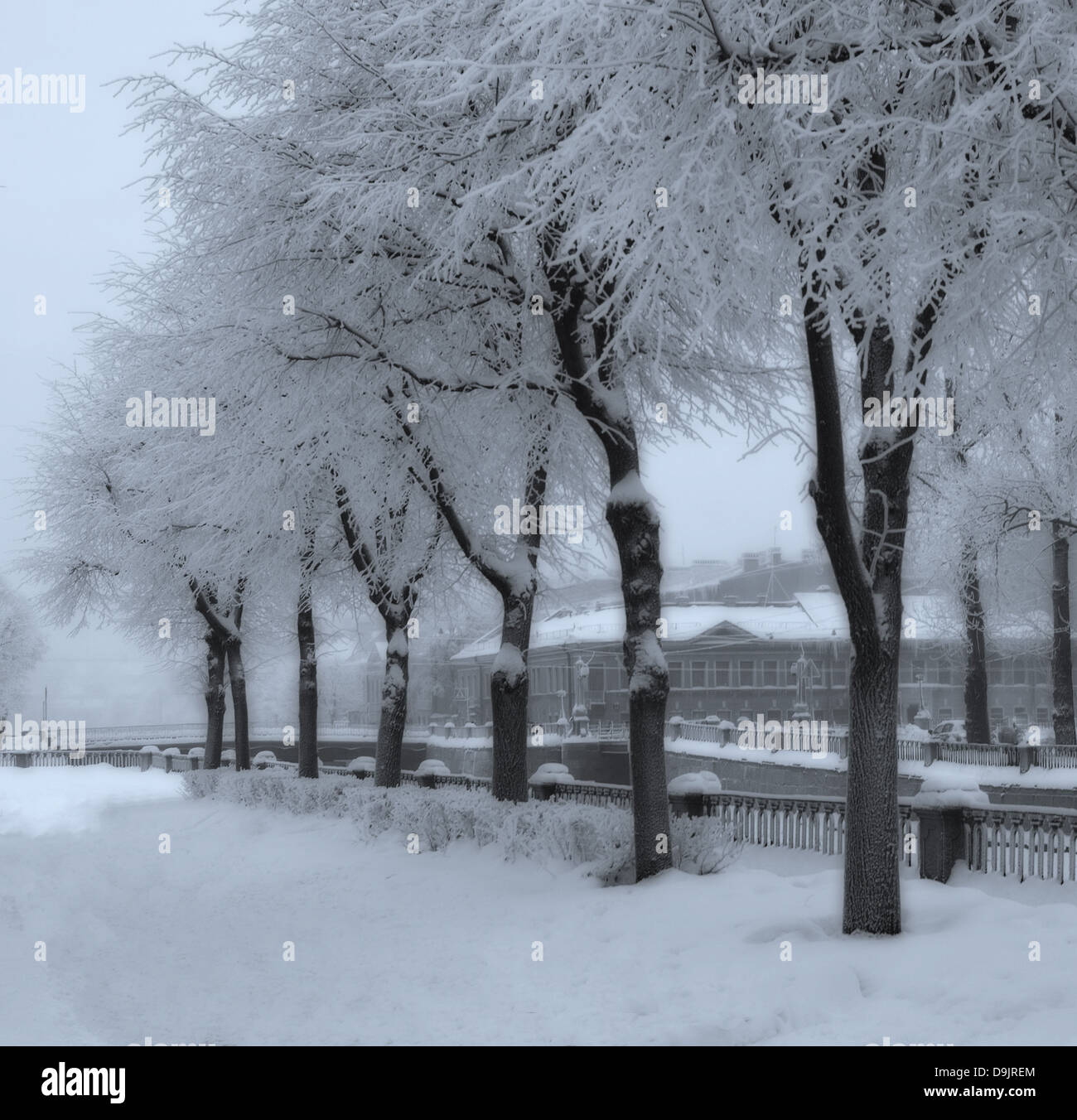 Beautiful winter landscape tree hi-res stock photography and images - Alamy