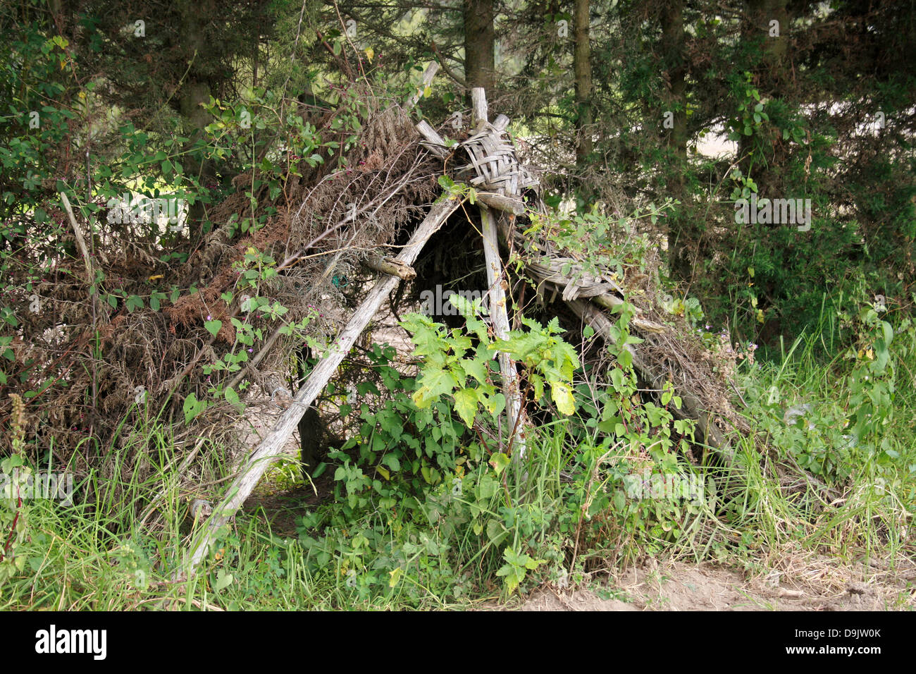 A temporary shelter made of reeds and sticks in a field in Cotacachi, Ecuador Stock Photo