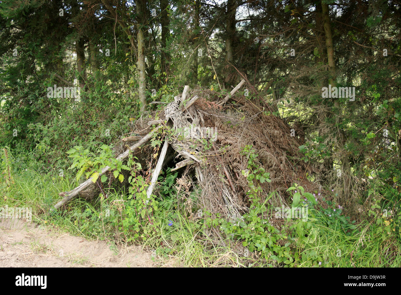 A temporary shelter made of reeds and sticks in a field in Cotacachi, Ecuador Stock Photo