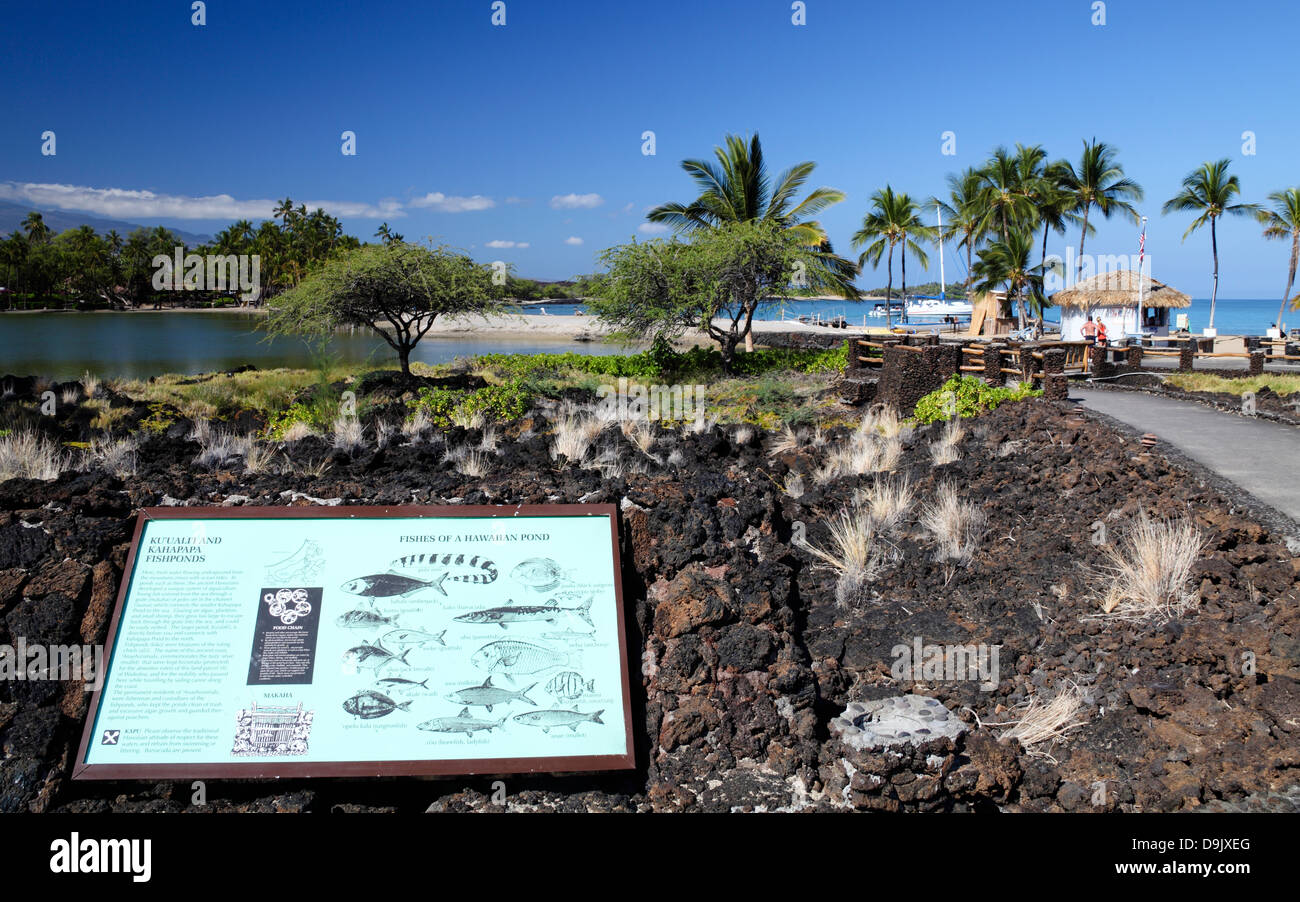 Interpretive sign describes fish found in the historic fish pond by Anaehoomalu Bay; walkway leads to beach and Ocean Sports Stock Photo