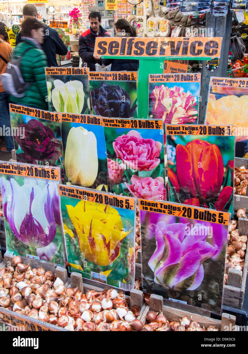 Tulip bulbs for sale at a market in Amsterdam, Netherlands. Stock Photo
