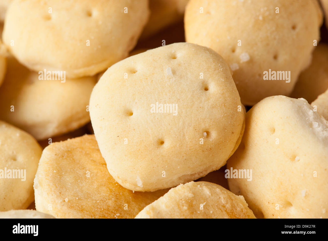 Organic Crunchy Oyster Crackers made with whole wheat Stock Photo
