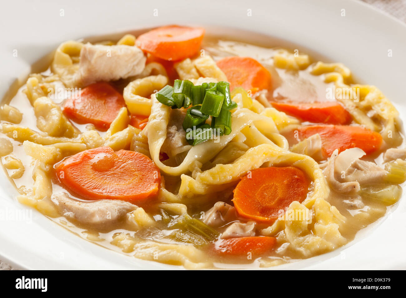 Homemade Organic Chicken Noodle Soup with celery and carrots Stock Photo