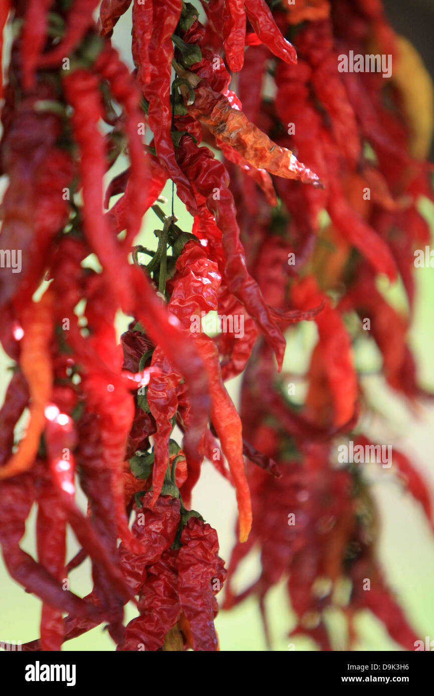 Pear seedling hires stock photography and images Alamy