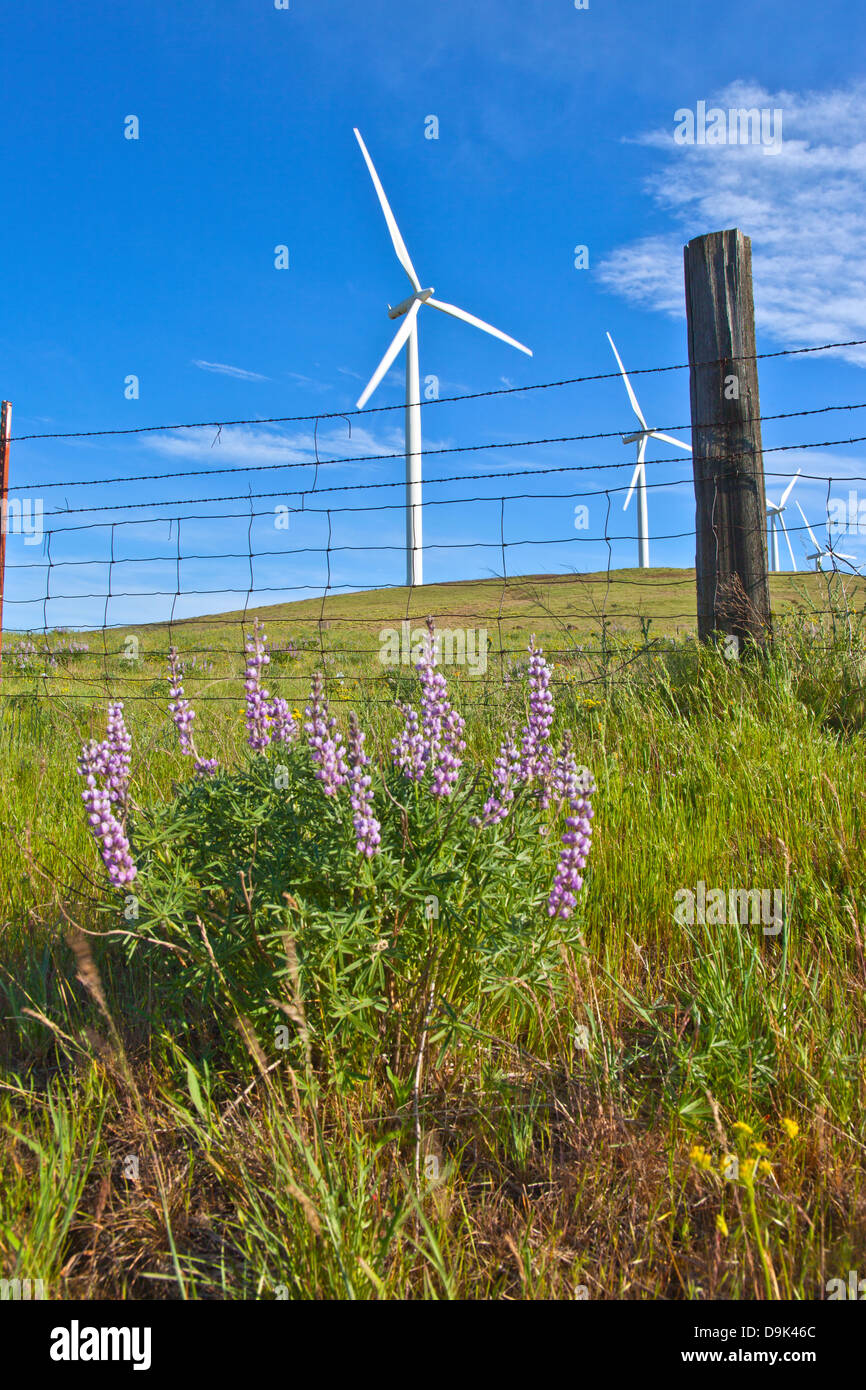 Wind turbines creating energy on a hillside in Eastern Washington. Stock Photo