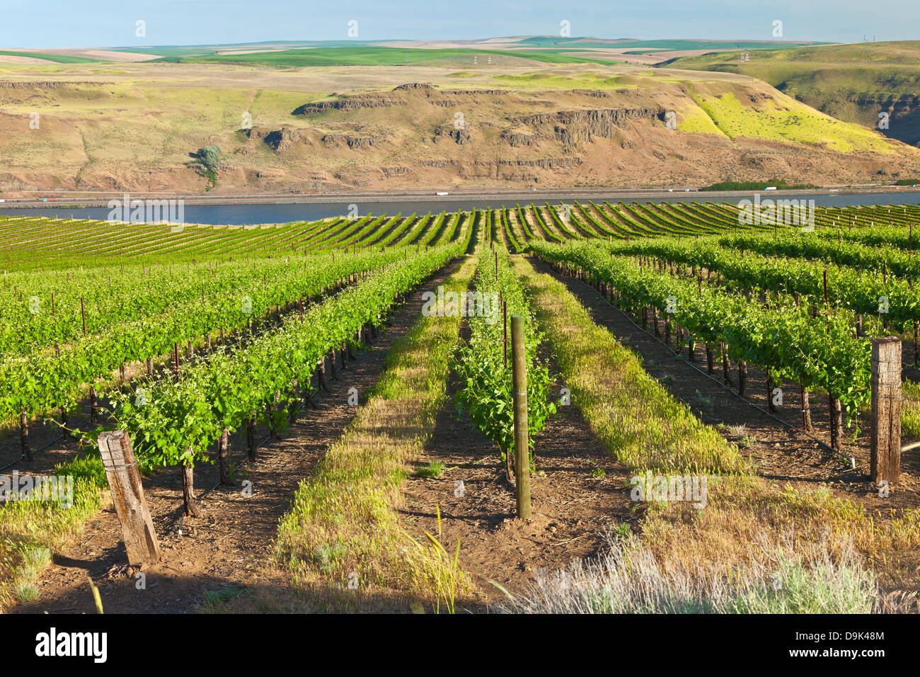 Oregon vineyard scenic columbia hires stock photography and images Alamy