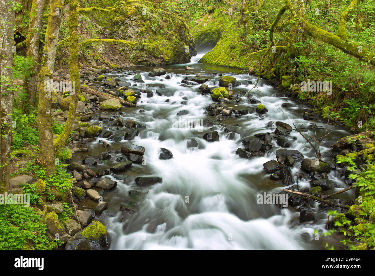 Oregon spring water hi-res stock photography and images - Alamy