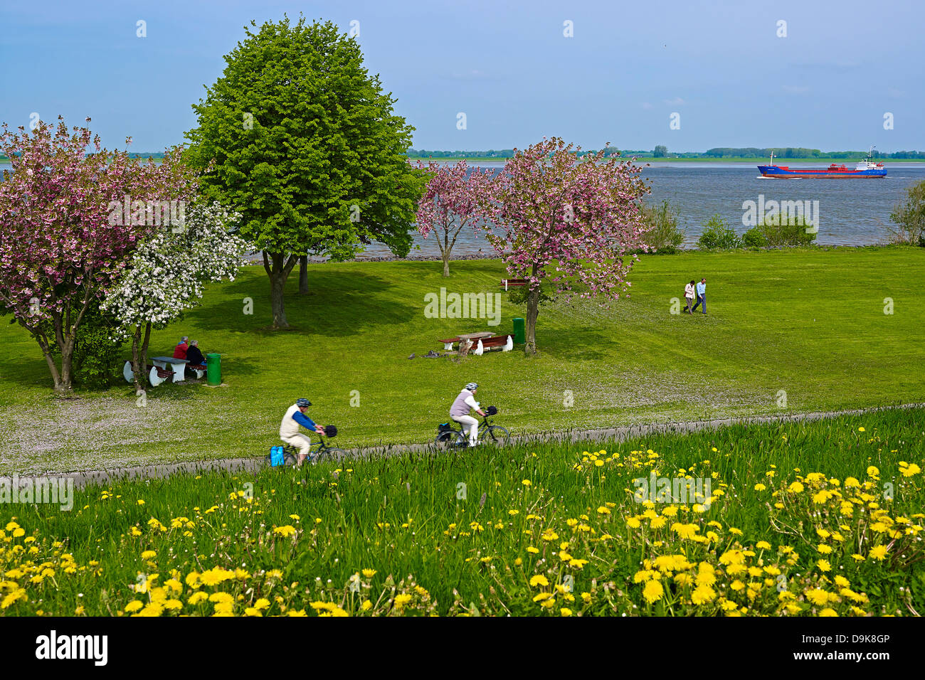 On the Elbe River near Gruenendeich, Altes Land, Stade District, Lower Saxony, Germany Stock Photo