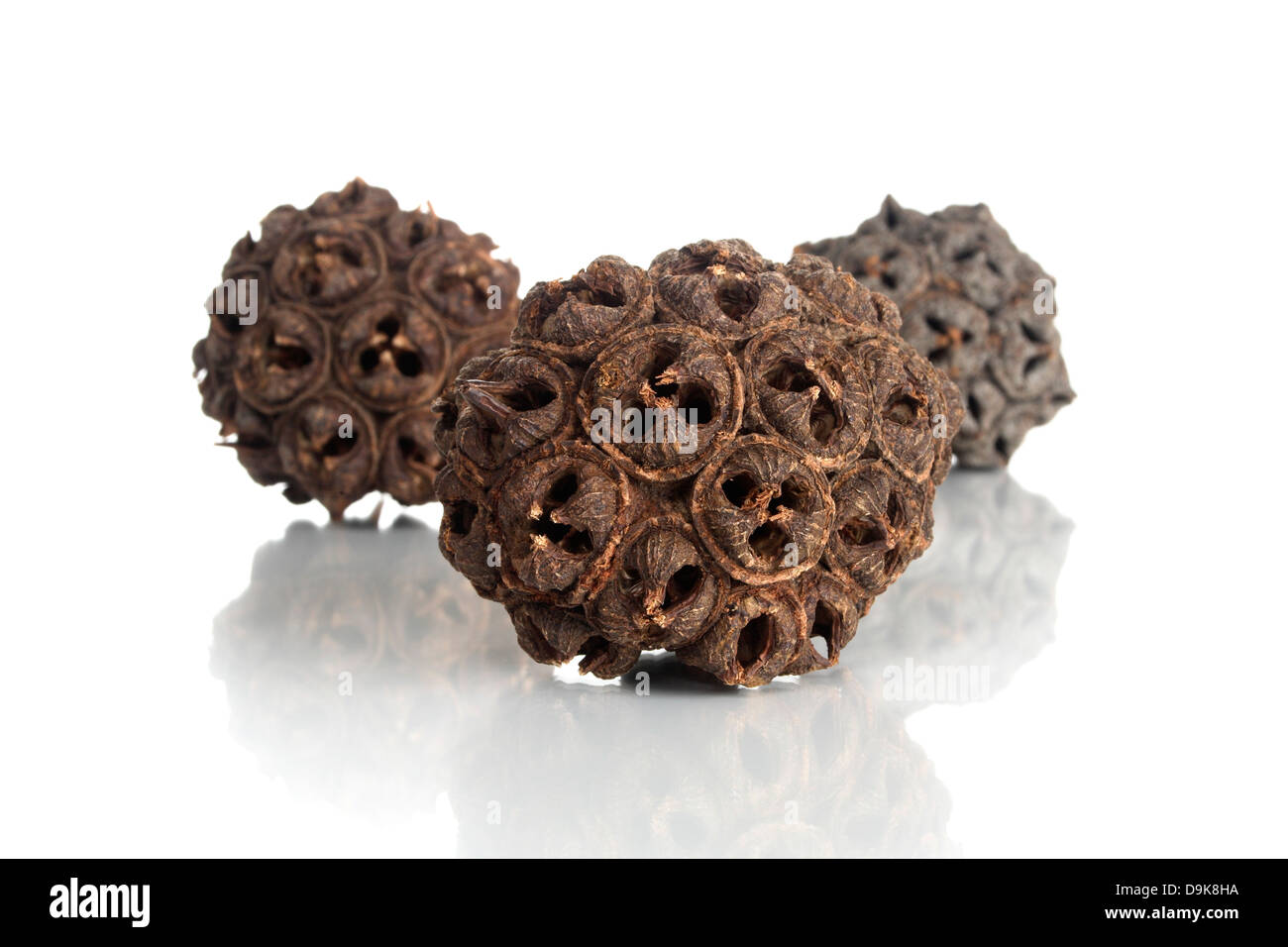 Devil groove (dryly) Stock Photo