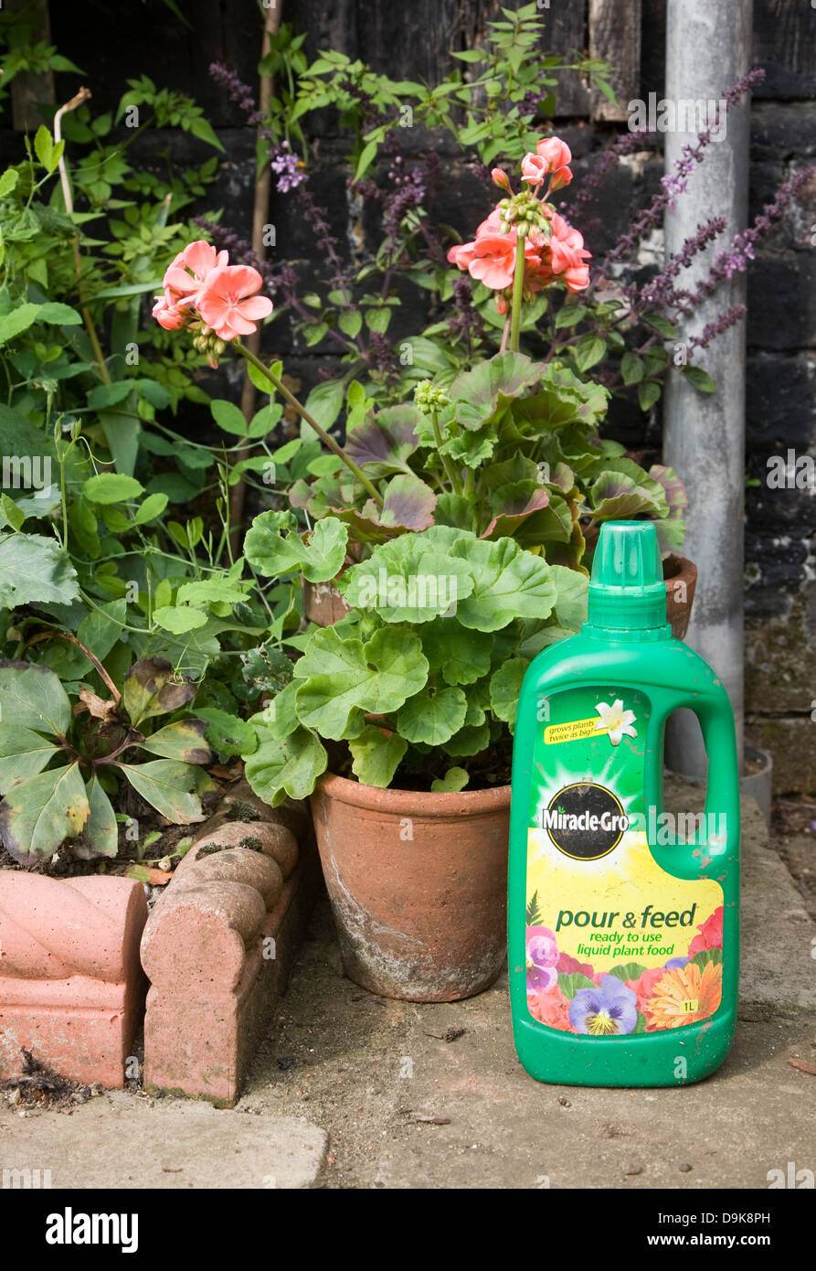 Pots in garden hires stock photography and images Alamy