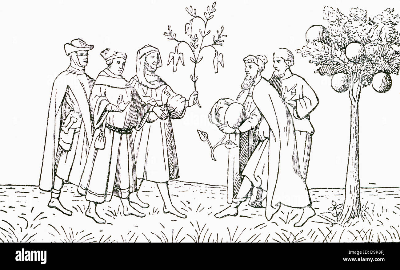 Friar Oderic of Pordenone holding a branch from a tree on which birds grow. Lamb tree of Tartary Stock Photo