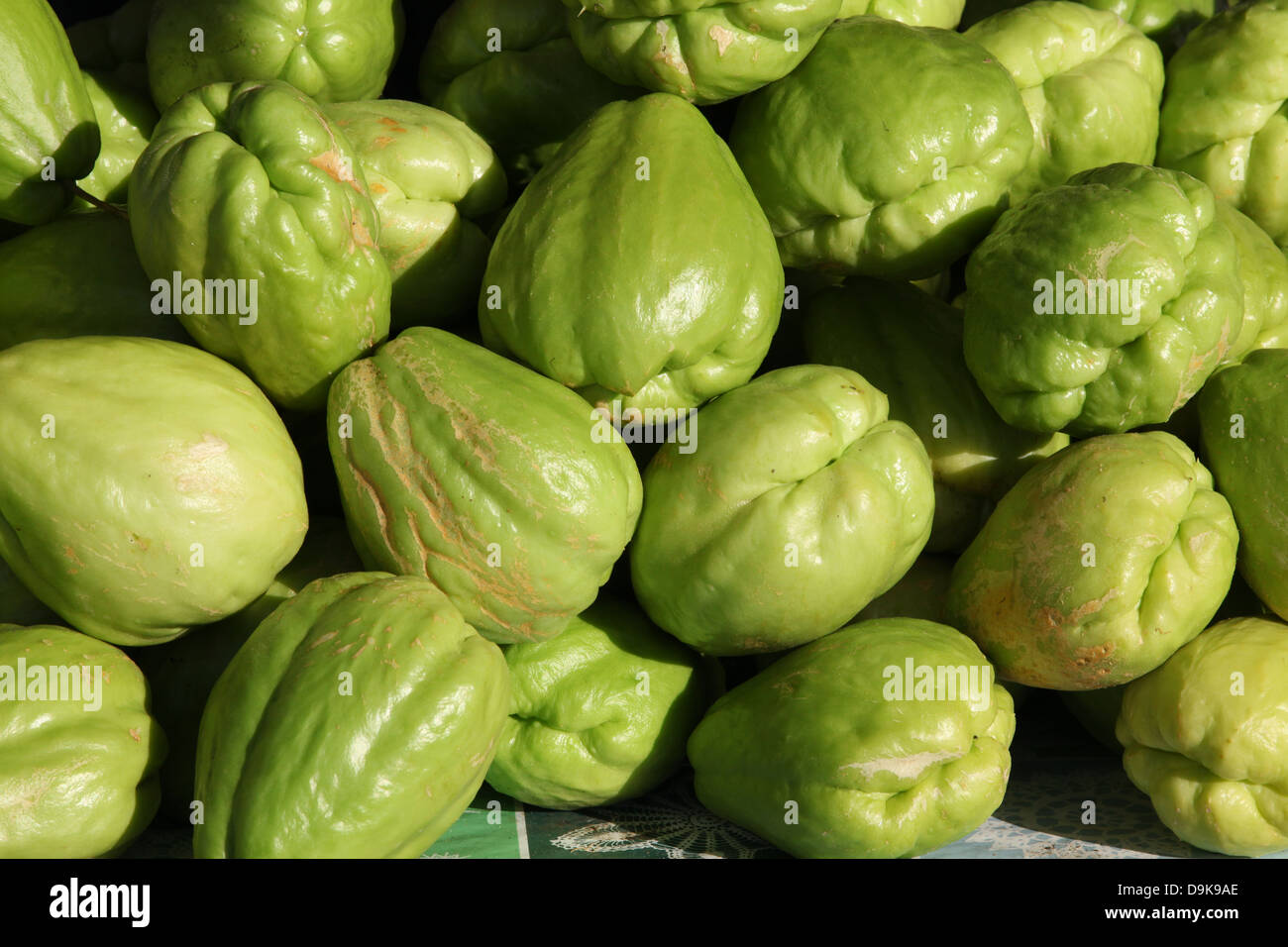 Cho Cho High Resolution Stock Photography and Images - Alamy